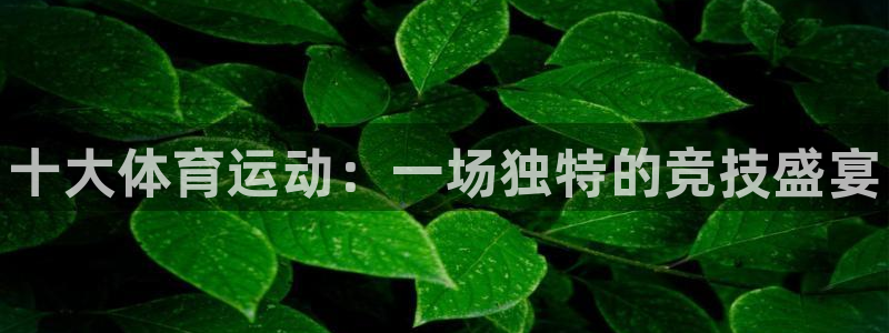 3377体育官网下载平台注册要钱吗:十大体育运动:一场独特的