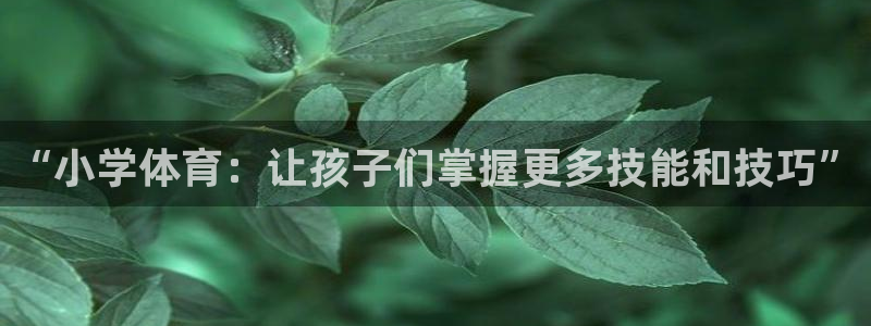 3377体育官方正版app集团logo:“小学体育:让孩子们