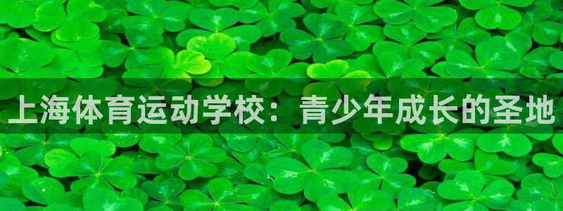 3377体育官网下载开户:上海体育运动学校:青少年成长的圣地